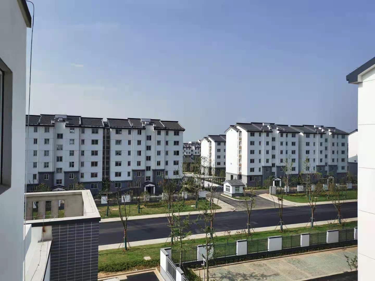 mmexport1620629184370.jpg